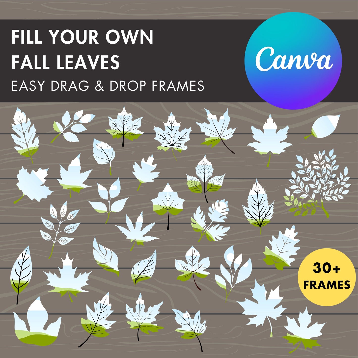 fall leaves canva frames
