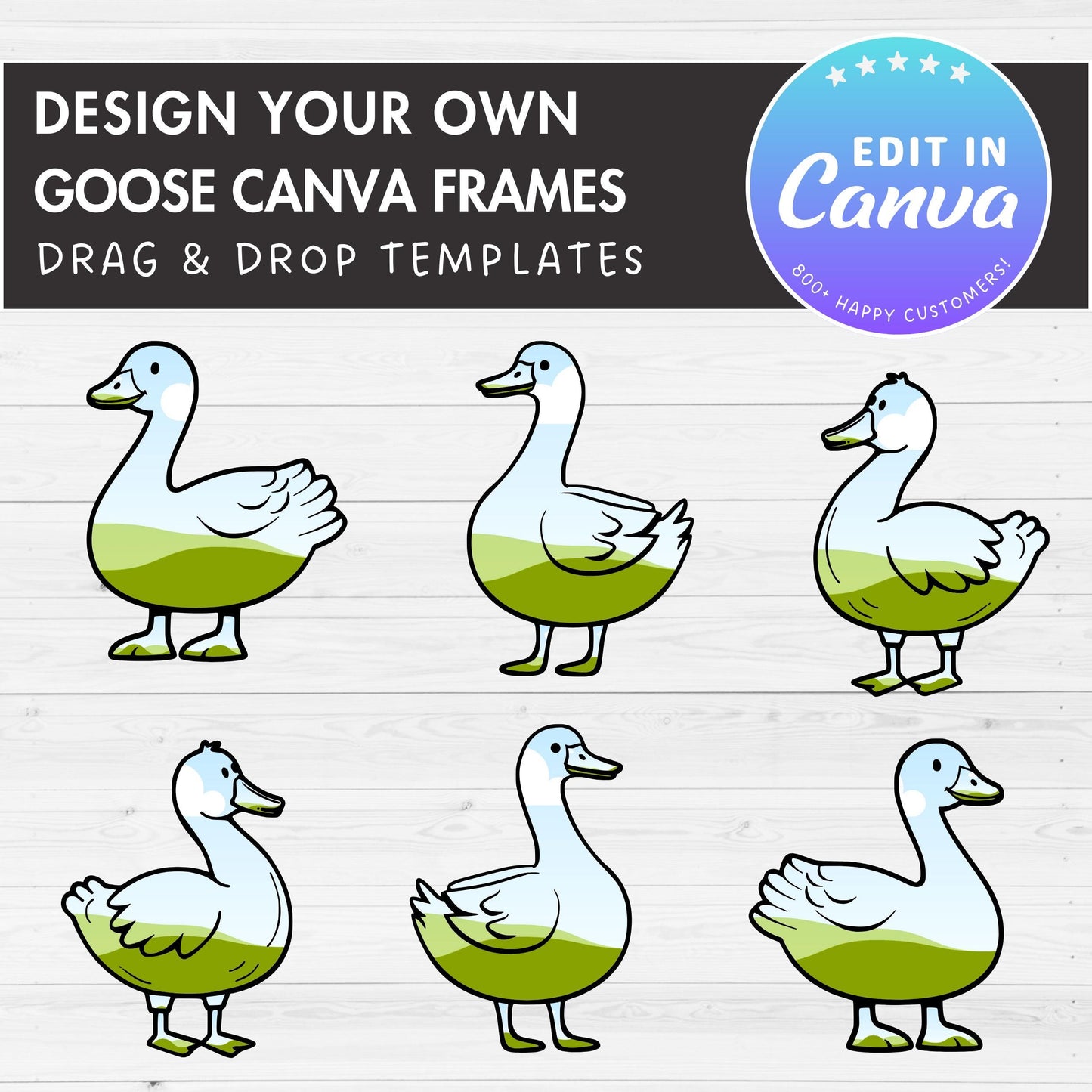 Design Your Own Goose Canva Frames, Silly Goose Canva Templates, Drag and Drop Canva Frames Bundle, T-Shirt Design, Duck Goose PNG